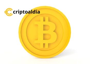 «Bitcoin en la Encrucijada: Holders a Corto Plazo en Niveles Bajos Desde Máximo Histórico, Glassnode Advierte de Riesgos Potenciales»
