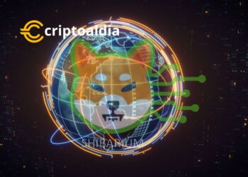 Los principales problemas mundiales resueltos por el Estado Shiba (RESUMEN)