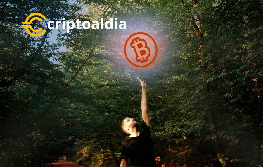 «Bitcoin Caída al Nivel Más Bajo Desde Junio: Retroceso del 2% Resalta Vulnerabilidad en el Mercado de Criptomonedas»