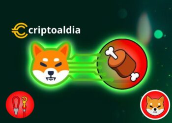 Shibarium Refuerza Seguridad: Nuevas Medidas Ante Tráfico Masivo con Restablecimiento Automático