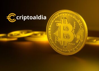 «Mercado Inestable: La Reciente Caída de Bitcoin Impacta a Titulares a Corto Plazo, Mientras Holders a Largo Plazo Permanecen Firmes»