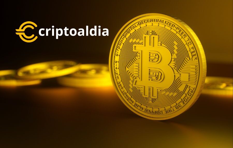 «Mercado Inestable: La Reciente Caída de Bitcoin Impacta a Titulares a Corto Plazo, Mientras Holders a Largo Plazo Permanecen Firmes»