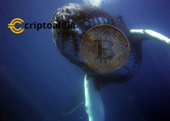 «Desde Exchanges Hasta BlackRock: Las Especulaciones Sobre la Identidad de Un Gran Propietario de Cripto Capturan la Atención del Mundo Financiero»