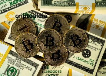 «¿Bitcoin vs. Monedas Fiduciarias? Cómo la Evaluación Contra el Dólar Refleja una Tradición de Valor Financiero»