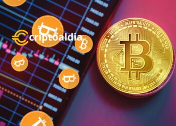 «Inversores Giran hacia Bitcoin y se Alejan de Altcoins: Datos Revelan Confianza en BTC y Disminución Anticipada en Ethereum»