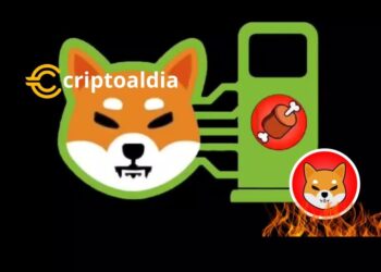 «Shibarium Inicia Quema de Tokens SHIB Mediante $BONE: Mecanismo Impactante que Afecta el Suministro Total»