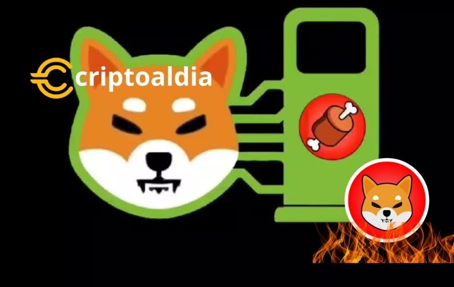 «Shibarium Inicia Quema de Tokens SHIB Mediante $BONE: Mecanismo Impactante que Afecta el Suministro Total»