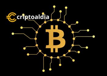 «477 Días Antes, 480 Después: La Misteriosa Relación entre los Halvings de Bitcoin y los Booms en su Precio – Un Análisis de Pantera Capital»