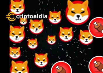 «A la Espera de Shibarium: La Gradual Aparición de Tokens BONE en Billeteras Sugiere Inminente Relanzamiento»