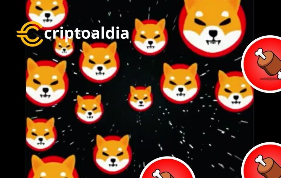 «A la Espera de Shibarium: La Gradual Aparición de Tokens BONE en Billeteras Sugiere Inminente Relanzamiento»