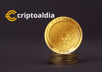 Hoskinson Imagina Cardano Como la Revolución Digital del Futuro: Más Allá de lo Financiero