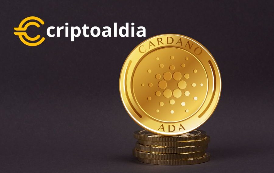 Hoskinson Imagina Cardano Como la Revolución Digital del Futuro: Más Allá de lo Financiero