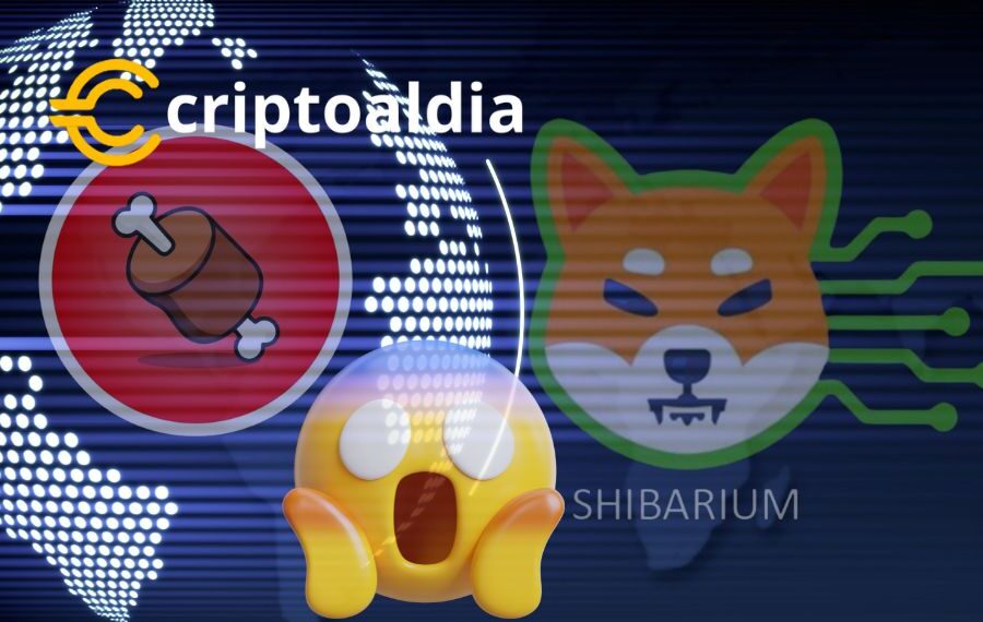 Impresionante Shibarium revoluciona el juego cripto: 1 BONE permite 29,411 transacciones, superando a Polygon Matic.