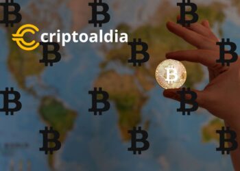 Lealtad en la Tormenta: El 40% de Bitcoins No Se Ha Movido en Tres Años