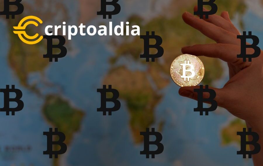 Lealtad en la Tormenta: El 40% de Bitcoins No Se Ha Movido en Tres Años