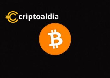 Ark Invest Destaca: Argentina Avanza Más Rápido que El Salvador en la Carrera Bitcoin.