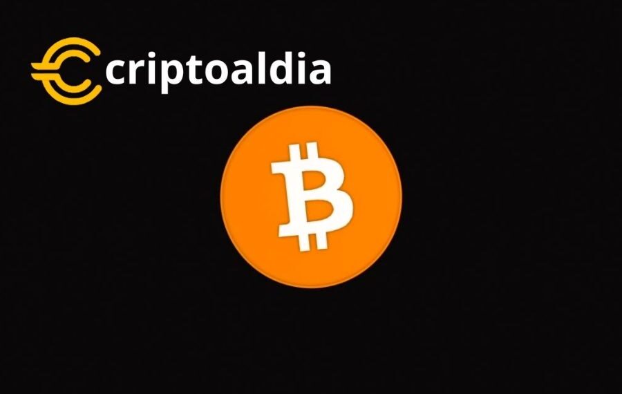 Ark Invest Destaca: Argentina Avanza Más Rápido que El Salvador en la Carrera Bitcoin.