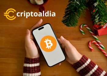 Bitcoin y las Sidechains: «Spiderchain» promete escalabilidad y privacidad en la red.