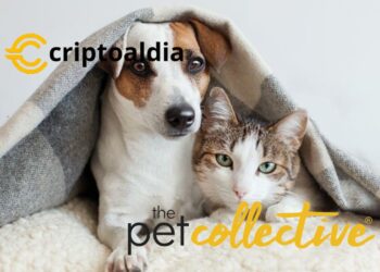 «Theta Labs Revoluciona el Mundo de los Videos de Mascotas: ¡Convierte a los Espectadores en Apasionados Devotos con la Ayuda de Pet Collective!»