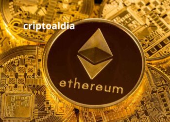 «Key Relayer Rompe con Ethereum: Alarma por la Centralización en el Horizonte»