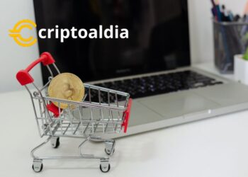 El Poder de Compra de Bitcoin a lo Largo de los Años: Un Análisis Detallado