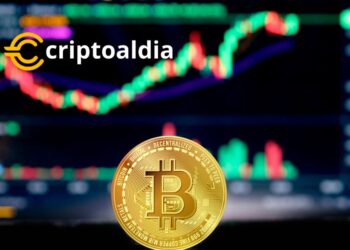 «Pese a la volatilidad del Bitcoin: Número récord de billeteras evidencia su creciente adopción.»