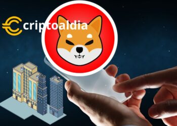 Shiba Inu presenta las ofertas vanguardistas de Shibarium para empresas.»
