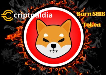¿Cómo será el Nuevo portal de quema del token Shib? te lo mostramos»