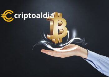 Hacia una descentralización total: BTCPay Server permite gestionar pagos Bitcoin desde tu teléfono