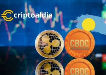 Palaos y Ripple Ponen en Pausa su Ambicioso Proyecto de Moneda Digital.