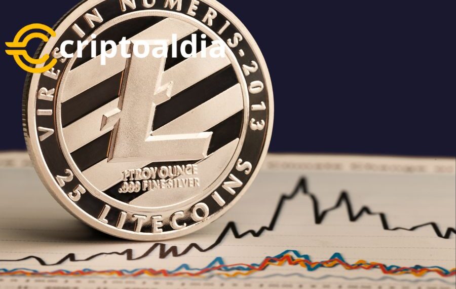 A Pesar de las Turbulencias de Mercado: Litecoin Alcanza los 5 Millones de Aficionados a Largo Plazo