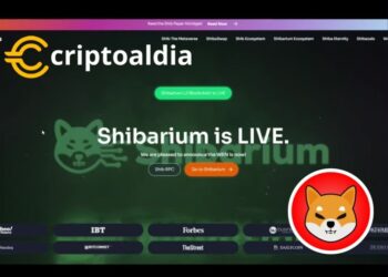 Evolución Blockchain con Shiba Inu: Shibarium L2 RPC, La Nueva Frontera para Constructores Mundiales
