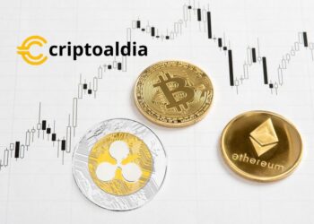 XRP: El enigma criptográfico que desafía las tendencias de Bitcoin y Ethereum»
