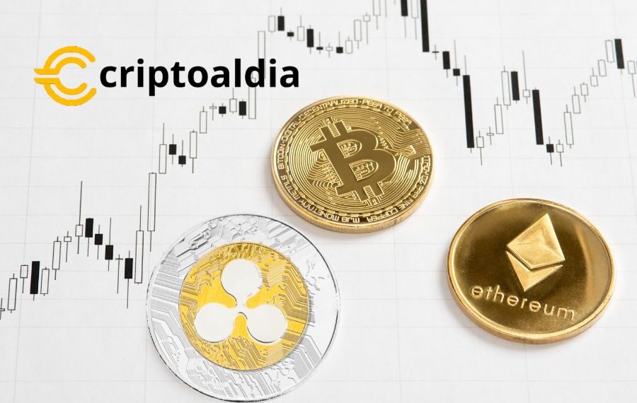 XRP: El enigma criptográfico que desafía las tendencias de Bitcoin y Ethereum»