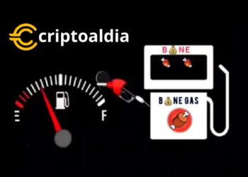 «Adopción de Bone ShibaSwap en Intermediarios Cripto en Suspenso por Renuncia del Contrato de $BONE.»