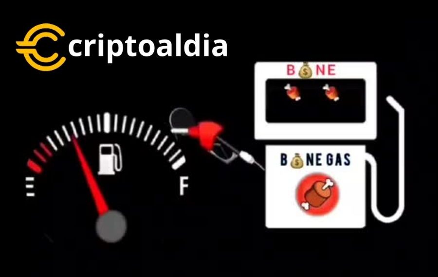 «Adopción de Bone ShibaSwap en Intermediarios Cripto en Suspenso por Renuncia del Contrato de $BONE.»