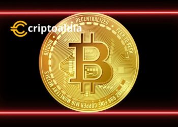 «¡Alerta Cripto! Mike McGlone Compara Bitcoin con un ‘Gorila de 800 Libras’ de Riesgo Potencial»