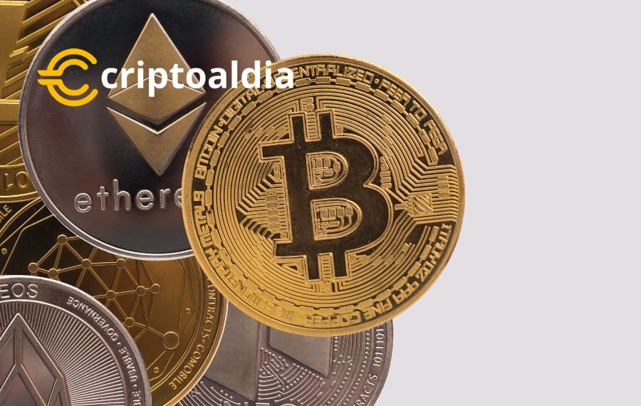 «Innovación y Futuro: MoneyGram abre puertas a nueva era de servicios financieros con Billeteras de Criptomonedas.»