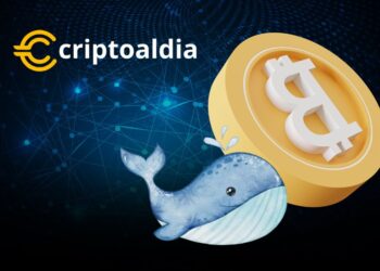 Movimiento Misterioso: Ballena Transfiere €50 Millones en Bitcoin Tras Largo Silencio