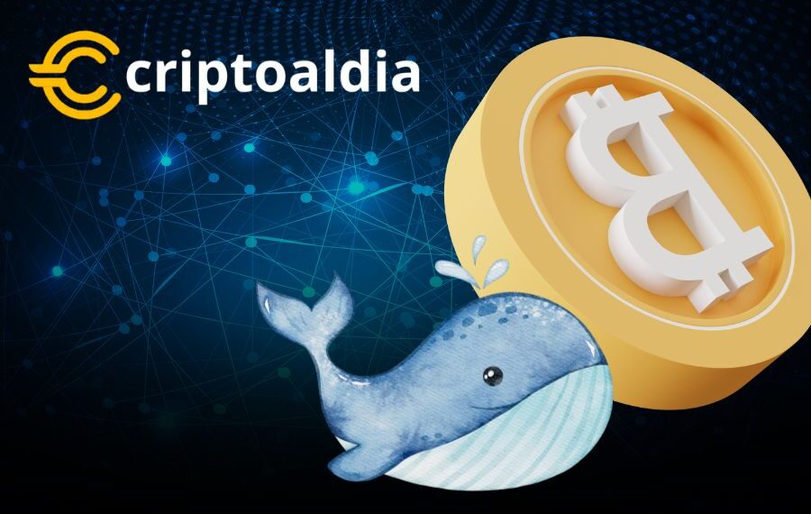 Movimiento Misterioso: Ballena Transfiere €50 Millones en Bitcoin Tras Largo Silencio