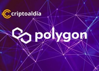 «Analista Prevé un Futuro Incierto para MATIC: Posible Caída a 0,3599 Dólares»