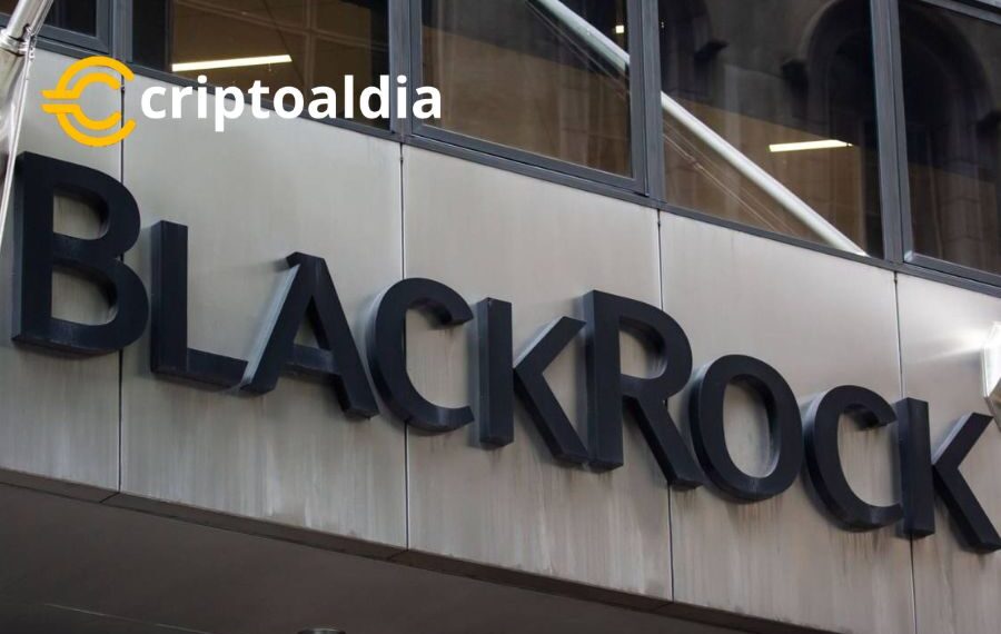 «Perspectivas de BLK: ¿BlackRock en Riesgo de Caer por Debajo de los $600?»