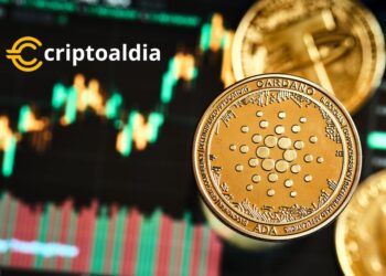«Cardano Despega: ¿El Próximo Boom de las Criptomonedas?»