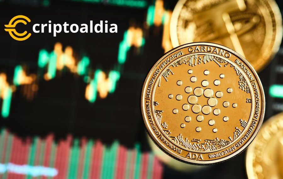 «Cardano Despega: ¿El Próximo Boom de las Criptomonedas?»