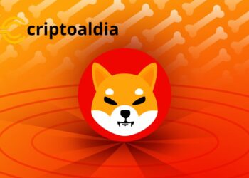 ¡Revolución en el Criptoespacio! Shibarium Lanza su Servicio de Nombres Shib (SNS)
