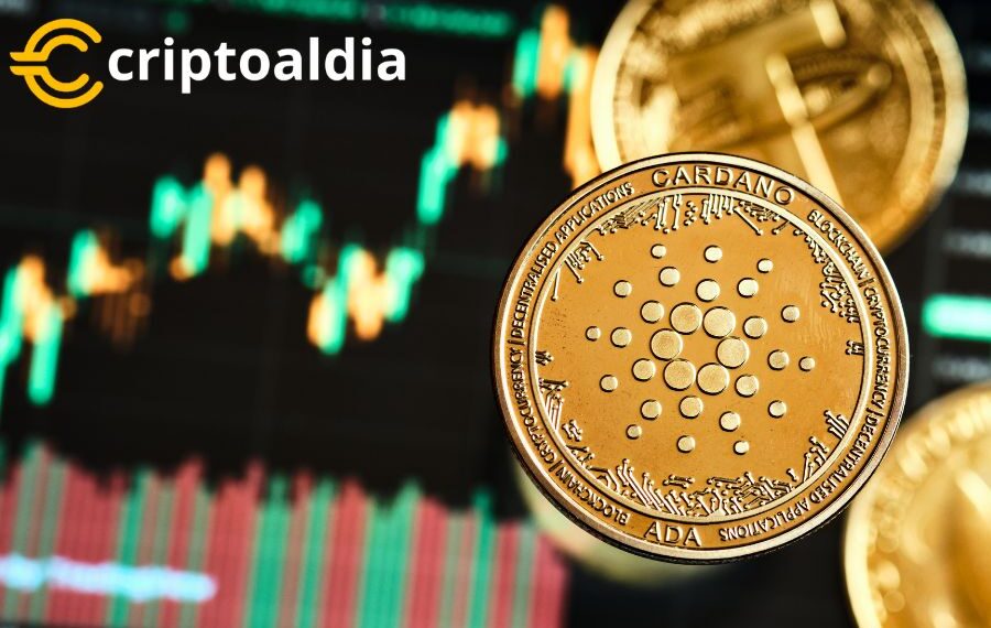 ¡Cardano (ADA) Despega con Coinecta! La Plataforma de Lanzamiento Ha Comenzado