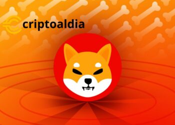 «¡Alerta Cripto! SHIB Acelera su Consumo en un 75% en un Día: ¿Se Prende la Llama del Precio o se Apaga?»