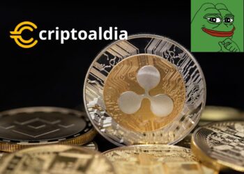 «Enigma en el Ecosistema Cripto: CTO de Ripple Desata Especulaciones con Imagen Misteriosa Relacionada con PEPE»