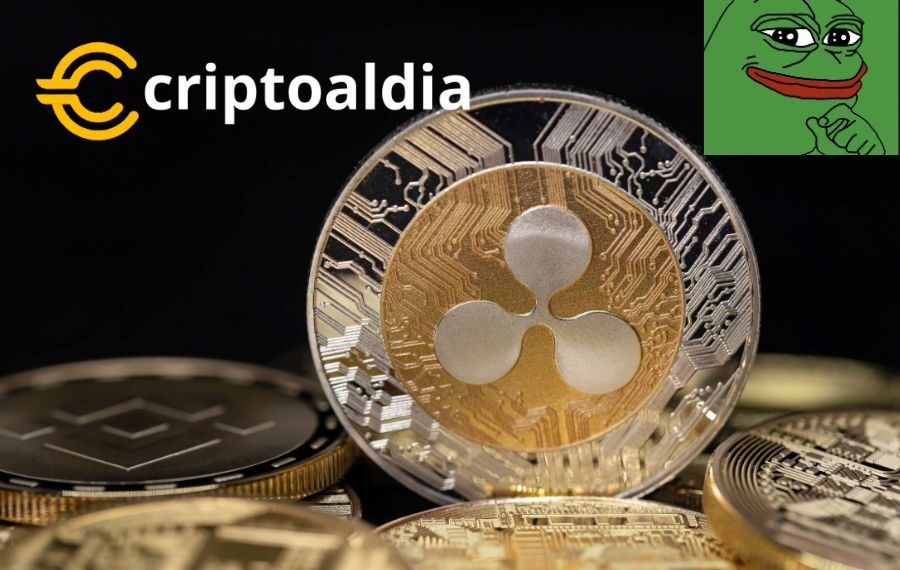 «Enigma en el Ecosistema Cripto: CTO de Ripple Desata Especulaciones con Imagen Misteriosa Relacionada con PEPE»