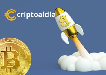 «En la antesala del Halving de Bitcoin 2024: Inversores y Analistas Desentrañan las Cinco Fases Cruciales»